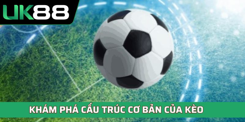 Khám phá cấu trúc cơ bản của kèo