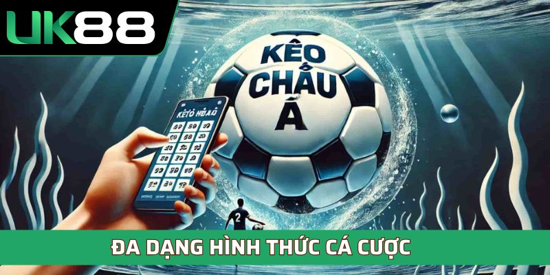 Nhà cái cung cấp đa dạng hình thức cược cho người chơi