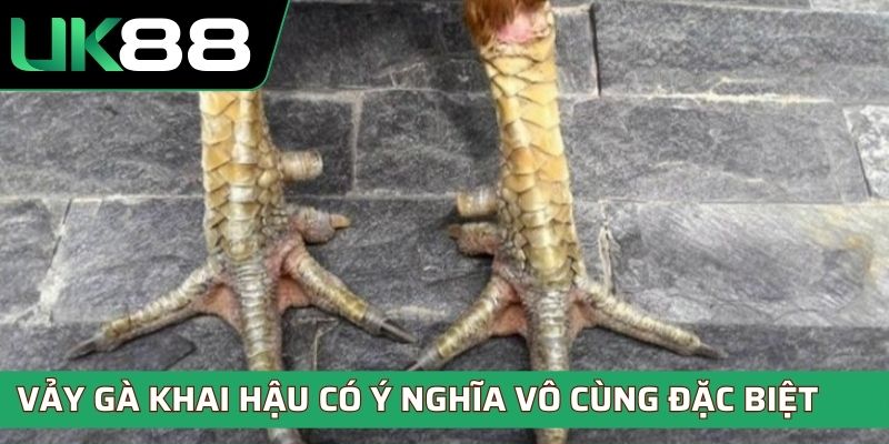 Vảy gà khai hậu có ý nghĩa vô cùng đặc biệt 