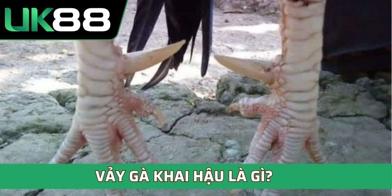 Vảy gà khai hậu là gì? 